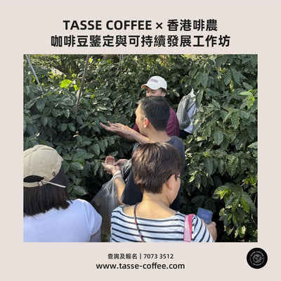 Tasse Coffee X 啡農 香港本地咖啡豆鑒定如可持續發展工作坊