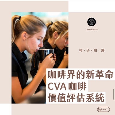 咖啡界的新革命 - CVA咖啡鑑賞技能系統