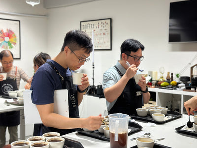 Q-Grader Coffee Cupping Experience Class
